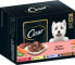 Nassfutter Hund Selektion in Sauce, Multipack (12x100 g), 1,2 kg