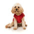 FUZZYARD Flipside Dog Raincover