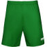 Zina Iluvio Senior match shorts M Z01929_20220201120132 green