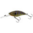 WESTIN Buzz Bite crankbait 6g 50 mm