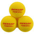 DUNLOP Indoor Foam Tennis Ball 12 Units