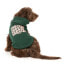 FUZZYARD Treats Dog Sweatshirt Hoodie