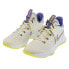 Nike Lebron Witness V