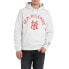 REPLAY M6826.000.21842 hoodie