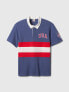 Team USA Polo Shirt