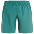 PROTEST Haupuka Swimming Shorts