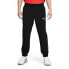 Puma Graphic Woven Training Pants Mens Size S Casual Athletic Bottoms 520563-01