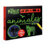 IMAGILAND Pintaluz - Animals