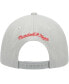 Men's Gray Chicago Bulls Hardwood Classics Tonal Snapback Hat