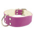 YOUPET Bull Dog 55x4 cm Dog Collar