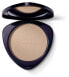 Bronzing Powder 01 Bronze