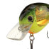 Shimano Green Chart Splatter WORLD RUSH FLASH BOOST Crankbait (WR56FGCS) Fish...