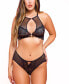 Women's I'm All in Plus Size Lace and Mesh Halter Bra Lingerie Set, 2 Piece