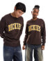 Dickies aitkin sweatshirt with collegiate embroidered logo in brown