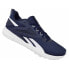 Reebok Flexagon Energy TR