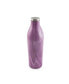 Insulated 25 Oz Wine Growler and 12 Oz Wine Tumbler Set, 3 Pieces