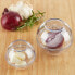 Zwiebeldose transparent 2er Set