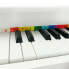 REIG MUSICALES Large Tail Piano 52x49.50x43 cm