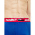 Tommy Hilfiger UM0UM02178C86