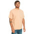 QUIKSILVER The Natural Dye short sleeve T-shirt