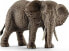 Figurka Schleich Schleich African elephant cow, toy figure