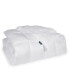 Down Illusion Antimicrobial Down Alternative Extra Warmth Comforter - Full/Queen