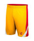 Men's Cardinal, Gold USC Trojans Am I Wrong Reversible Shorts