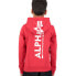 ALPHA INDUSTRIES Back Print hoodie