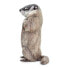 SAFARI LTD Groundhog Figure