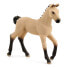 Schleich Farm Life Hannoverian Foal - Red Dun - 5 yr(s) - Boy/Girl - Black - White - 1 pc(s)