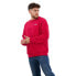 VANS Core Basic Fleece sweatshirt