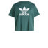 adidas women Adicolor Trefoil Boxy Tee (Plus Size)