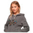 SUPERDRY Tattoo Script Graphic hoodie