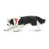 SAFARI LTD Border Collie Figure