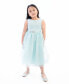 Little Girls Sleeveless Sequin and Glitter Mesh Party Dress