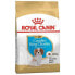 ROYAL CANIN Cavalier King Charles Puppy 1.5kg Dog Food