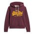 SUPERDRY Chenille Vl Graphic hoodie