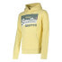 SUPERDRY Vintage Logo Organic Pastel hoodie