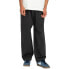 ELEMENT Chillin Twill pants