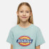 DICKIES Logo short sleeve T-shirt