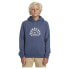 QUIKSILVER Graphic hoodie