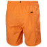 HELLY HANSEN Carlshot swimming shorts