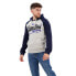 SUPERDRY Vintage Vl Heritage Rgn hoodie