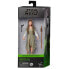 STAR WARS Return Of The Jedi Princess Leia Ewok Village Black Series Figure