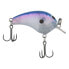 Shimano Pro Blue MACBETH TINY Crankbait (MB39PB) Fishing