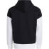 CALVIN KLEIN JEANS Institutional Colorblo hoodie