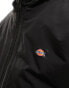 Dickies new sarpy hooded jacket in black