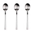 SAN IGNACIO Root Stainless Spoon