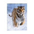 Puzzle Tiger im Schnee 500 Teile