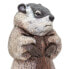 SAFARI LTD Groundhog Figure